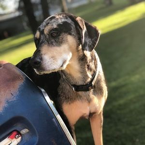 Meet your Posher, Austin